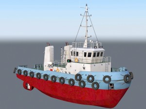 Pehuen 01